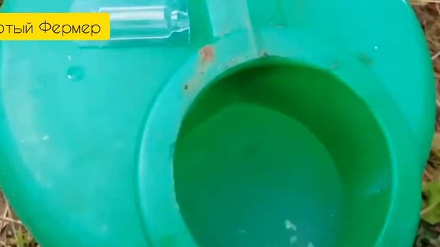 Кулинарные Изыски и Гурманство