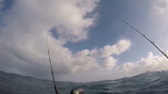 Port Fairy tuna aboard Unreel Fishing Charters😮😮 смотреть онлайн