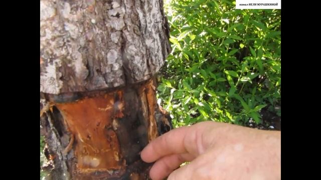 Дизайн и Стройка