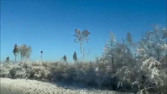 841.Эстония.Это моя жизнь. #слюбовьюизэстонии #жизньвэстонии #Novatinafilm #vlog