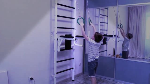 Сальто на кольцах