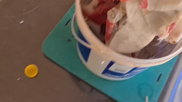Защита дерева от муравьев и тли, очень просто и без затрат! Домашний огород! смотреть онлайн
