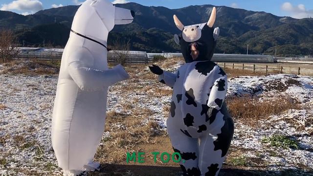 ESL Easy listening practice - Cow and polar bear episode 1 - Cow meets Bear смотреть онлайн