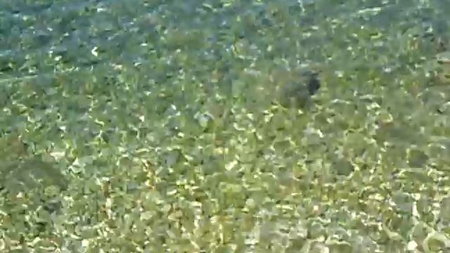 Хорватия.Пляж в Трогире. Обзор смотреть онлайн