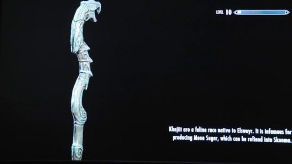 Glitch List: PS3 Elder Scrolls Skyrim - Loading and texture