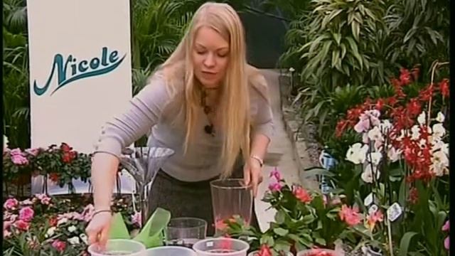 Лесные кактусы смотреть онлайн