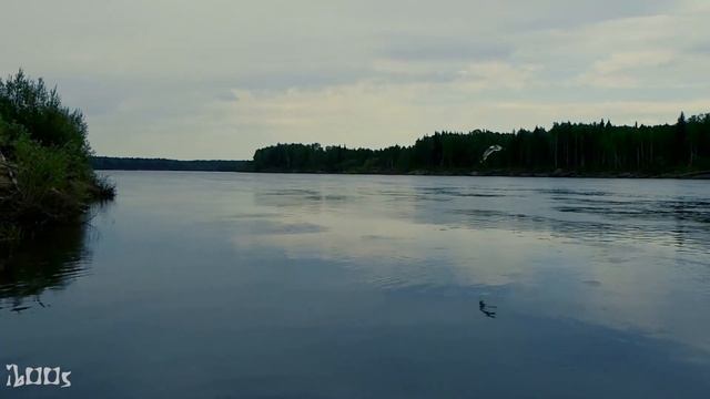 Рыбалка на реке Вычегда, язь, окунь, щука смотреть онлайн