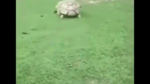 Песня ( Есть друзья а для них, у друзей нет выходных) Dety.ru