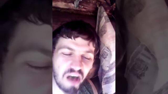 ОБЖОР НА КУДРЯВУЮ ПЕТРУШКУ смотреть онлайн
