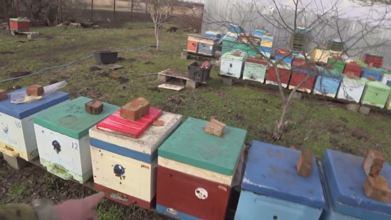 НАЧАЛО 9 02 24 смотреть онлайн