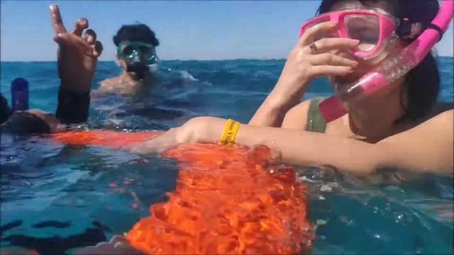 РАС МОХАММЕД, Египетские МАЛЬДИВЫ (Белый остров) | Экскурсия из Шарм-эль-Шейха ?Египет смотреть онлайн