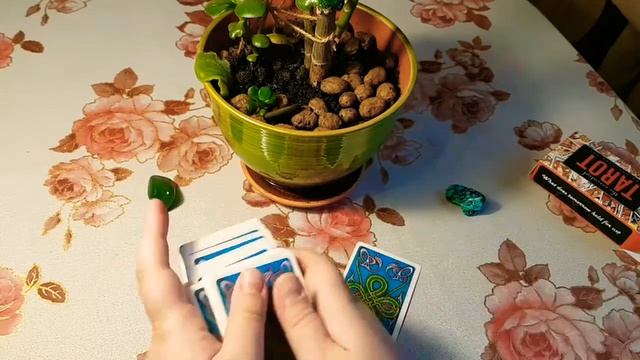 ДЕНЕЖНОЕ ДЕРЕВО!ТОЛСТЯНКА!ТАРО! смотреть онлайн