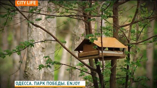 CITY LIFE. Одесса. Парк Победы. Enjoy смотреть онлайн
