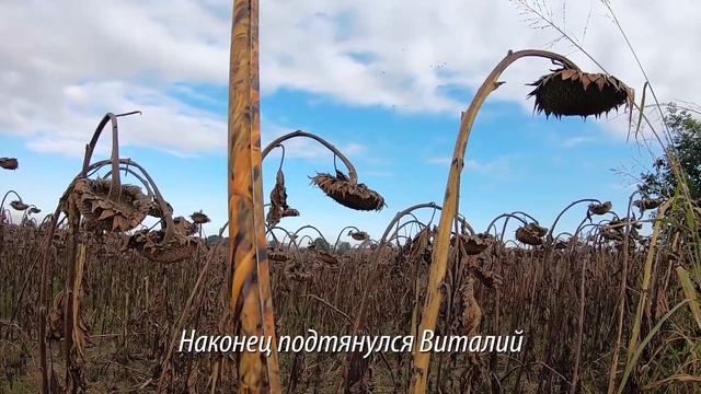Охота на вяхиря/ До последнего патрона смотреть онлайн