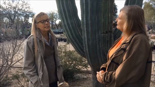 How To Grow a Saguaro Cactus Sucessfully смотреть онлайн