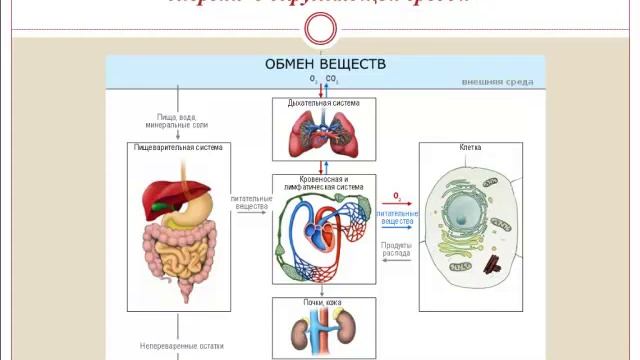 Свойства живой материи смотреть онлайн