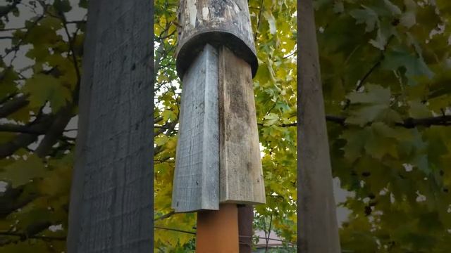 Световая красота