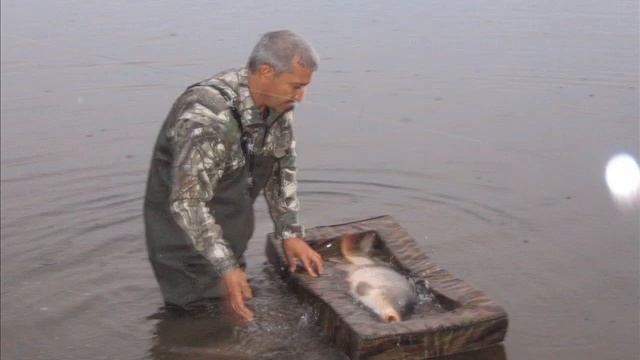 ВОЛГОГРАД 0001 смотреть онлайн