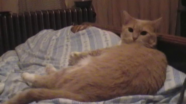 2004 смотреть онлайн