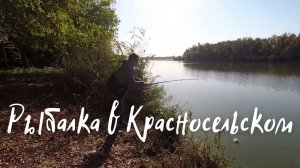 Рыбалка в селе Красносельское / Открыл сезон!! Рыбалка на реке Кочеты..