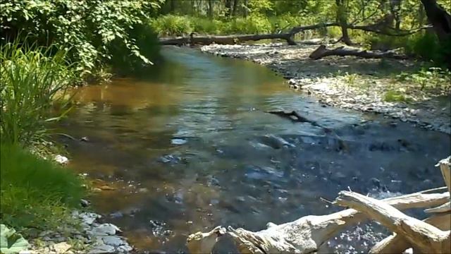 relax flow of the river, sunny forest - relax nature video - река летом, звук речного потока, лес смотреть онлайн