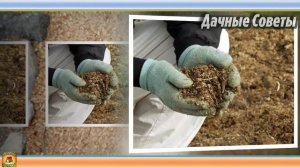 Супер средство от СЛИЗНЕЙ и УЛИТОК Спасибо соседу за ХИТРОСТЬ Теперь слизни в прошлом ДАЧНЫЕ СОВЕТ