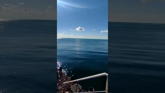 23 ОКТЯБРЯ 2022 КАКАЯ ПОГОДА В АБХАЗИИ СЕРЕДИНА ОСЕНИ КУРОРТ ПИЦУНДА смотреть онлайн