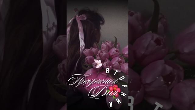 Доброе утро вторник смотреть онлайн