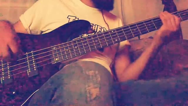 Maestra - Elvis Martinez (Bass Cover) смотреть онлайн