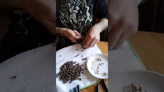 Кедровые орехи . Орехокол своими руками . смотреть онлайн