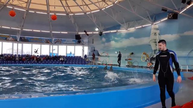 Дельфинарий "Немо" Минск смотреть онлайн