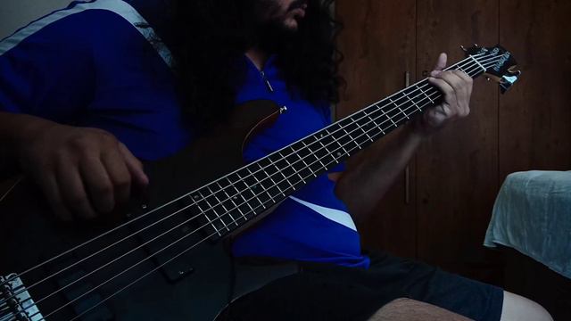 Duality -Slipknot Bass cover смотреть онлайн