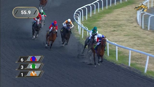 5-я Скачка. Приз «Арабский скакун» (Насима) (1гр.) Сабантуй 2023. 23 июня 2023 года. Казань смотреть онлайн