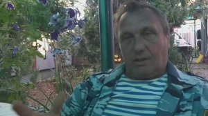 МОЖНО ЛИ КОРМИТЬ БЫЧКОВ ХЛЕБОМ/ ОТВЕЧАЕМ НА ВОПРОСЫ