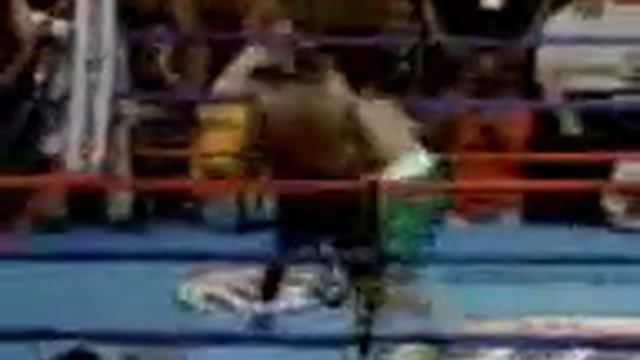 The best knockouts смотреть онлайн