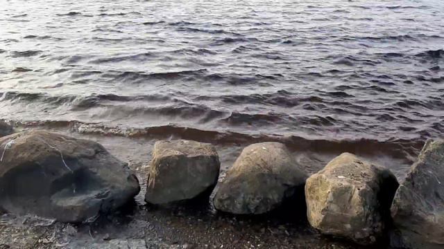 Waves of Kilkee on McNeela Wild Irish Soprano D whistle смотреть онлайн