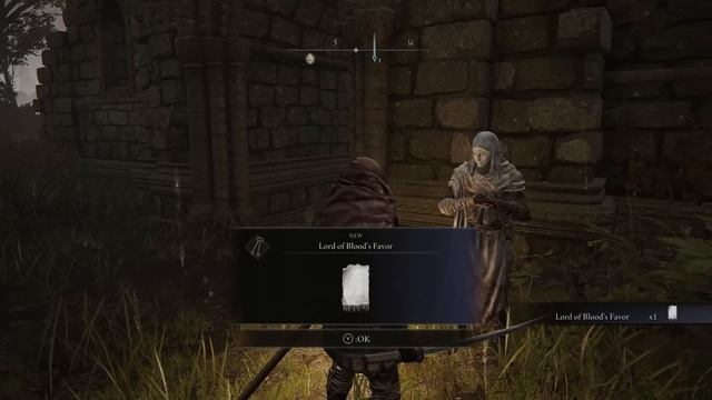 ELDEN RING BIRD RUNE FARM/EXPLOIT 11K EVERY 20 SECONDS смотреть онлайн