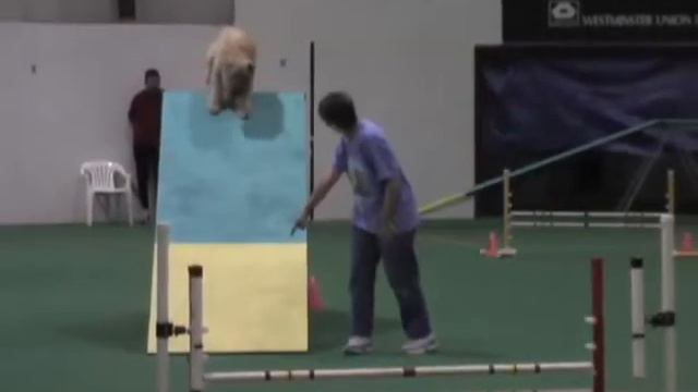 Sparky - Tears in Heaven смотреть онлайн