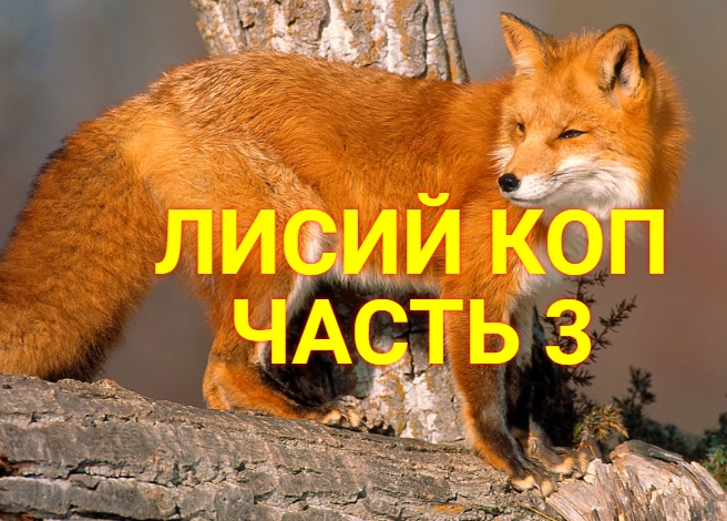 ЛИСИЙ КОП часть 3. Кладоискатель Металлоискатель смотреть онлайн