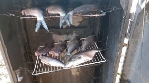 Как закоптить рыбу. Коптим лещей. Как правильно посолить рыбу для копчения.каптильня из холодильник