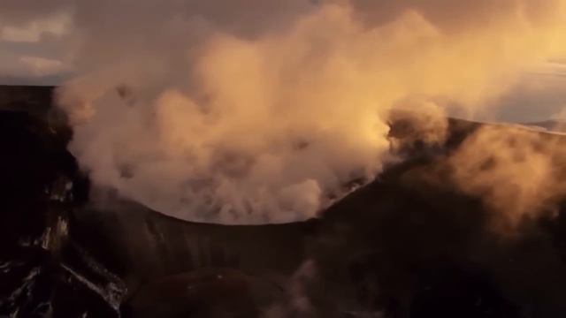 Les Extinctions Massives des Espèces смотреть онлайн