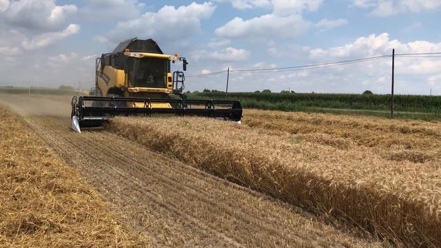 Соевая жатка Nardi