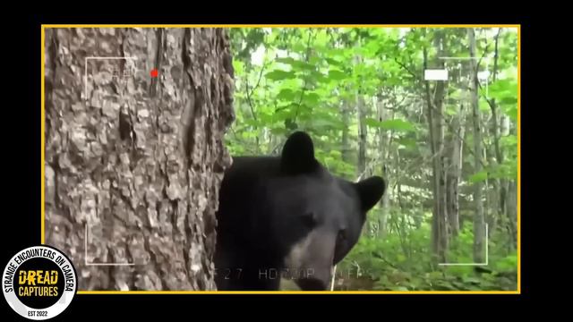 Disturbing Trail Cam Footage - IT Moved So WEIRD смотреть онлайн