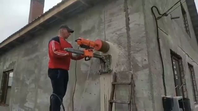 Лесные грибы: путь к природному равновесию