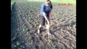 #2. Супер ручной культиватор, Плоскорез для прополки междурядий, ручной пропольник.