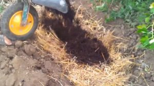 Быстрая грядка для шампиньонов   грибы у Вас на огороде