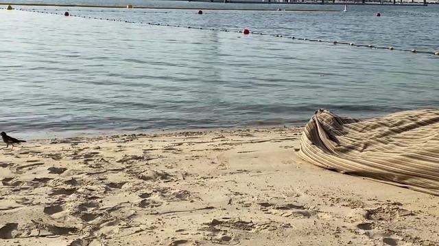 VLOG#5: BARASTI BEACH IN A GLIMPSE ☀️👙 | KenSilvestre Vlogs смотреть онлайн