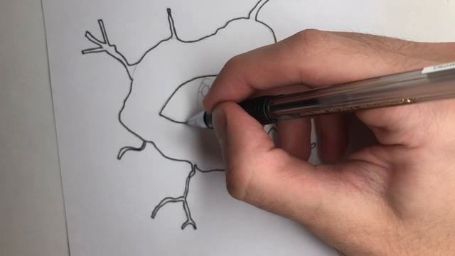 How to draw Seek Eye from Doors ROBLOX смотреть онлайн