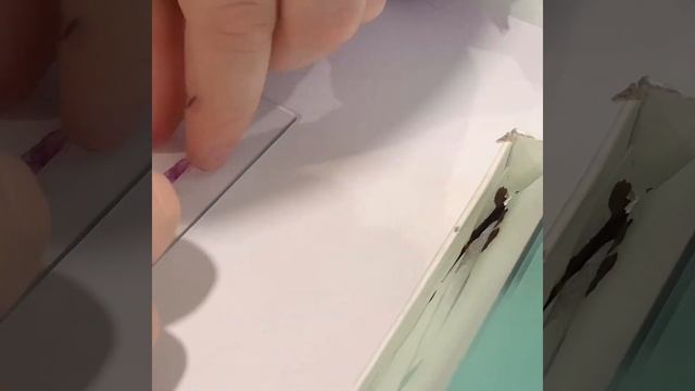 СТРОЕНИЕ РАСТИТЕЛЬНОЙ КЛЕТКИ ПОД МИКРОСКОПОМ Levenhuk смотреть онлайн