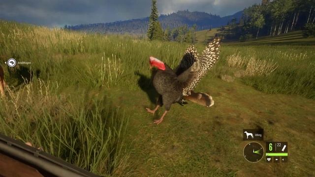 How to Hunt Turkeys in theHunter: Call of the Wild смотреть онлайн